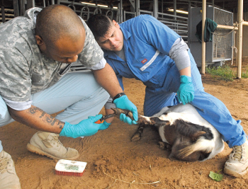 Soldiers train for civil affairs health missions